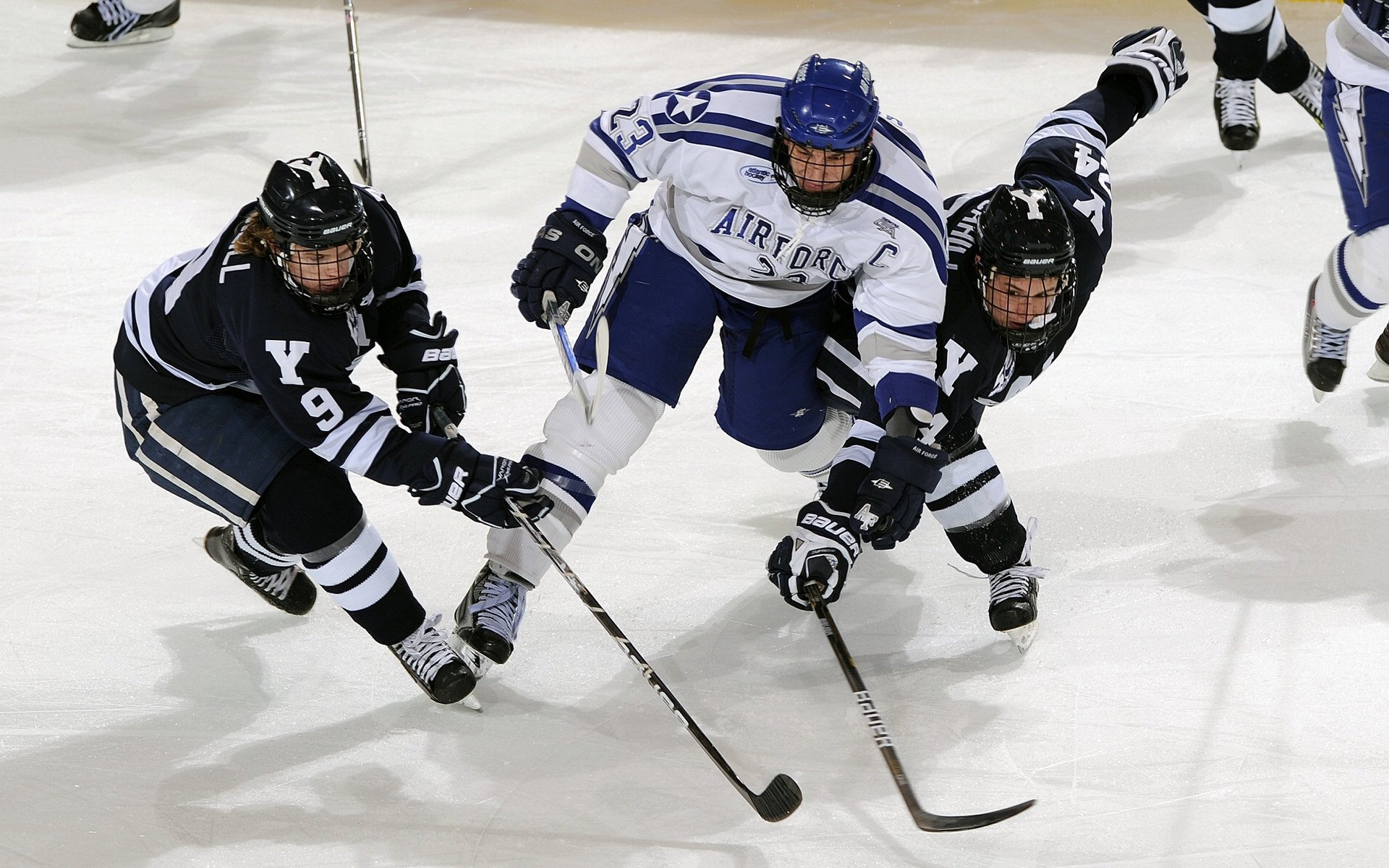 “真实故事：球员运动员背后的奋斗故事”，运动员成功背后的故事